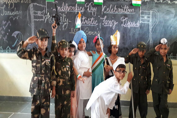 Brahmanand Public School-Events independance day programme