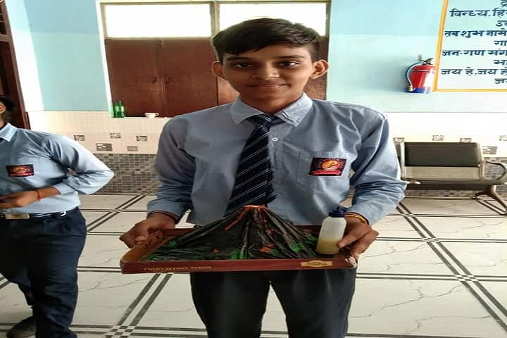 Brahmi Janta Senior Secondary School-School Exhibition