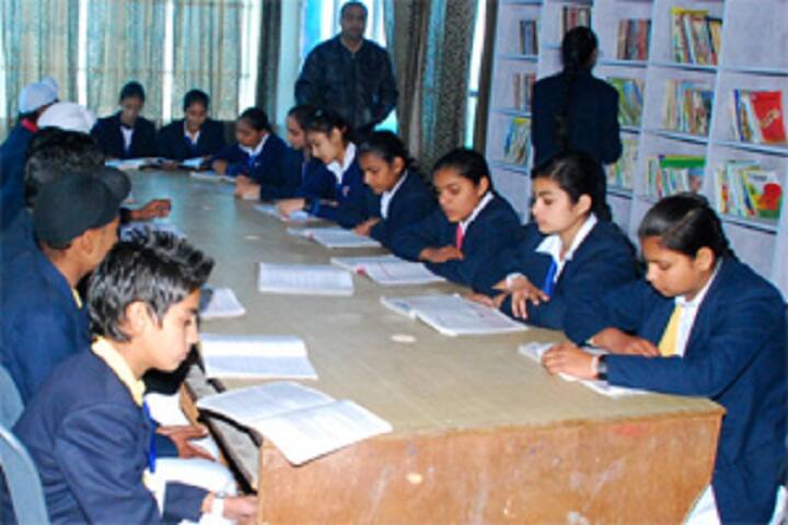 British Public School- library