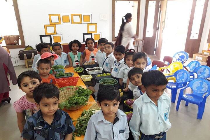 C L Public School-Activity1
