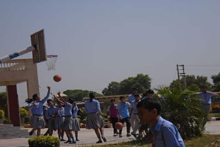 C D Foundation Of Education-Sports basketball