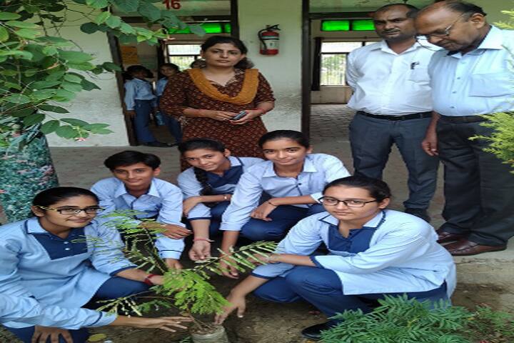 CDS International School-Plantation
