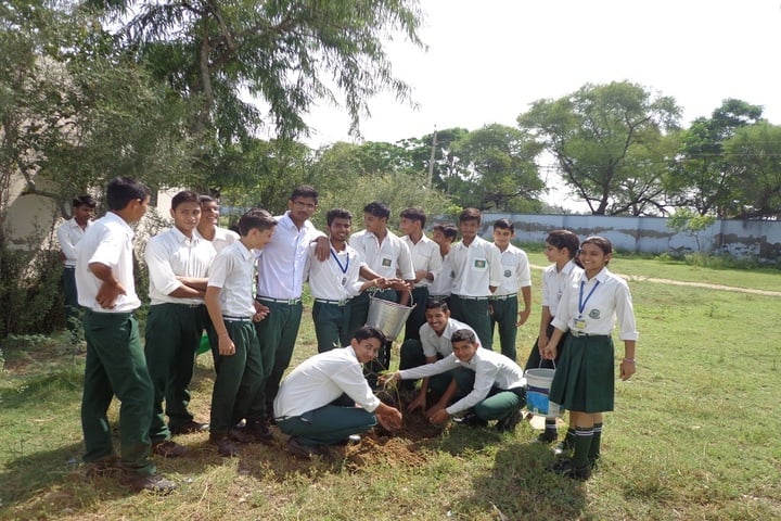 C R Public School-Tree Plantation Day