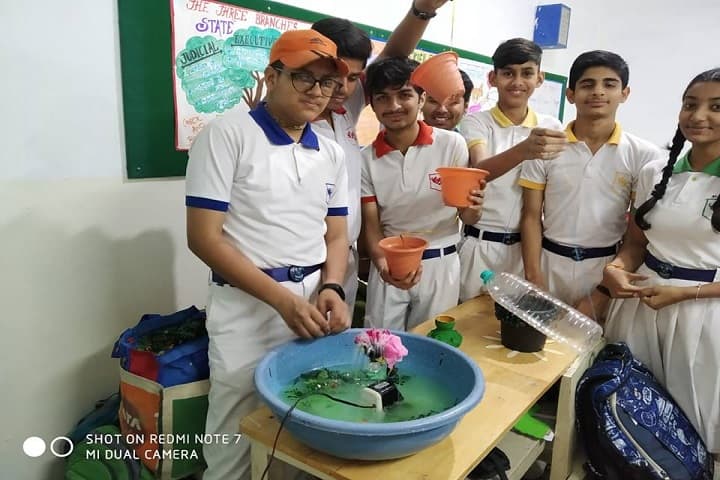 Convent Of Sacred Heart-Activity