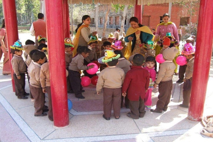 D A V Centenary Public School-Activity