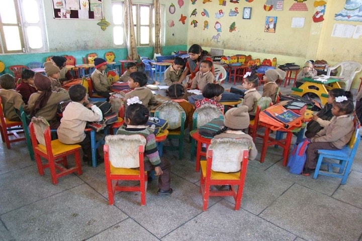 D A V Centenary Public School-Activity