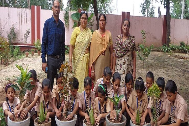 D A V Centenary Public School-Plantation