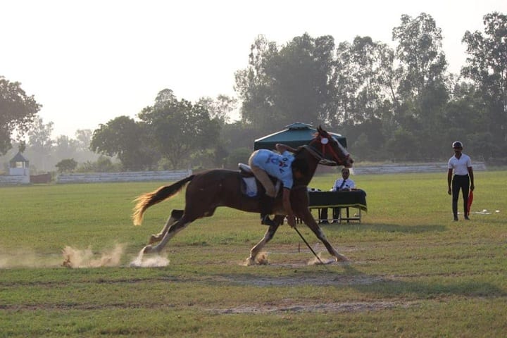 D A V Public School-Horse Riding2