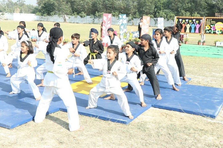 D A V Public School-Karate