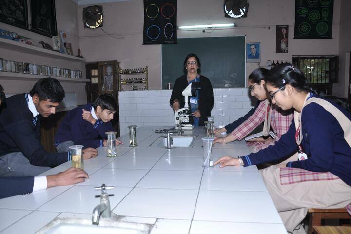 DAV Senior Secondary Public School-Lab