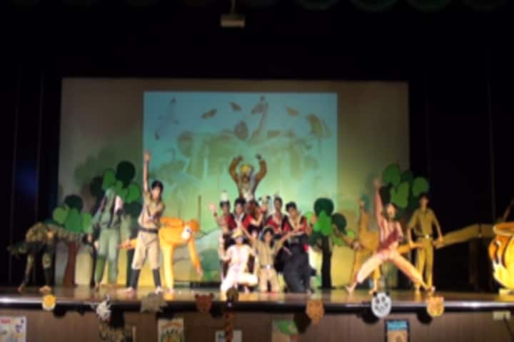 DAV Public School-Wild Life Conversation