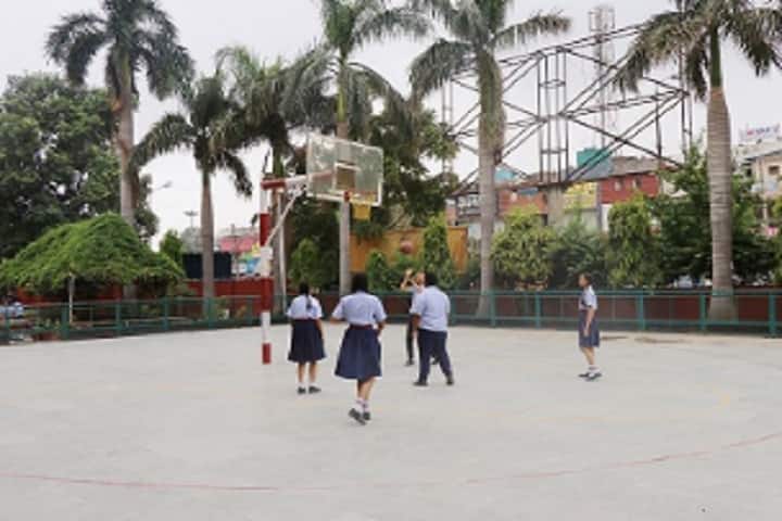 D C Model Senior Secondary School-Volley Ball