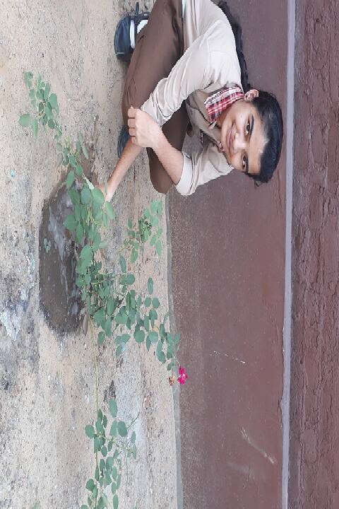 D R A Senior Secondary School-Plantation