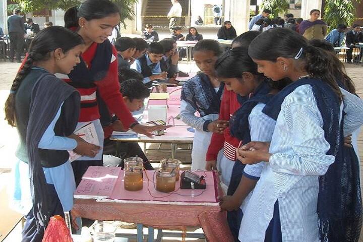 Datta Public School-Exhibition