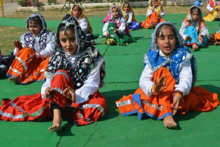 DAV Centernary Public School-Dance Performance