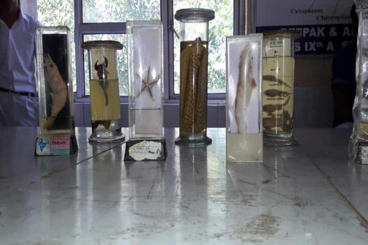 Dav Public School-Lab