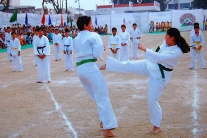 Dayal Singh Public School-Karate