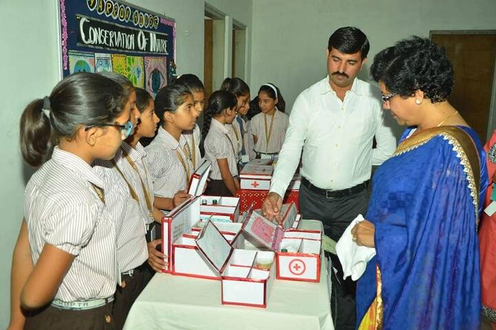 Dayanand Senior Secondary School-Exhibition