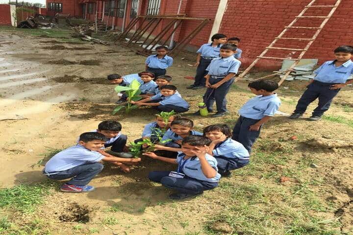 Delhi Heritage International School- Tree Plantation
