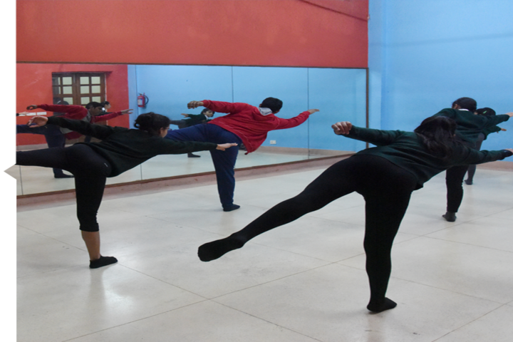 Delhi Public School-Dance Room