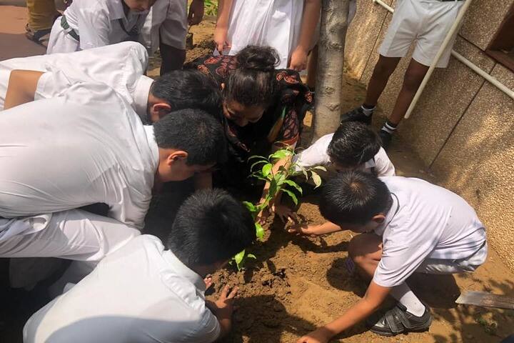Delhi Public School-Plantation
