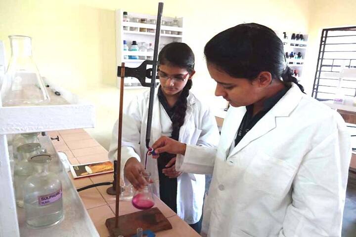 Dev Samaj Vidya Niketan-Chemistry Lab
