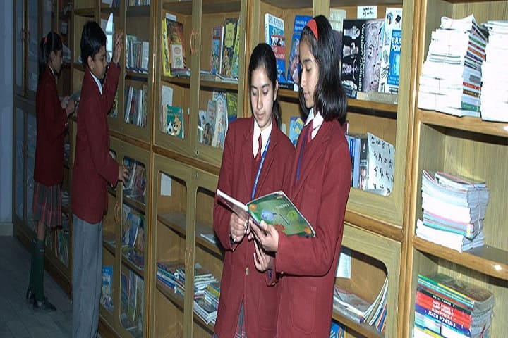 Dig Vijay Memorial School-Library