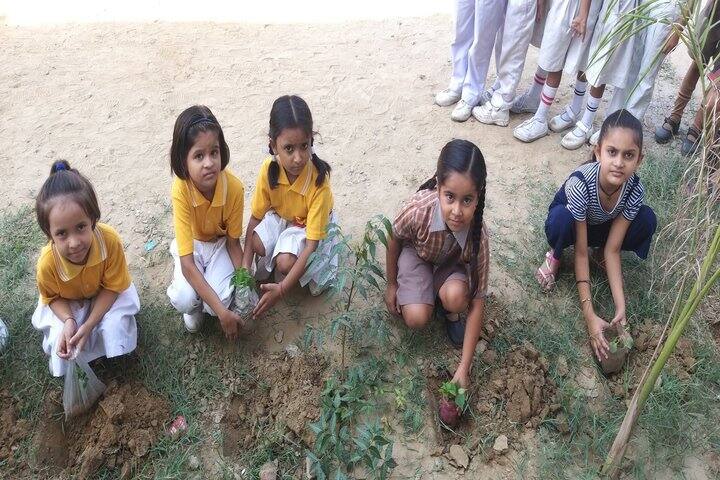 Divine Academy-Plantation