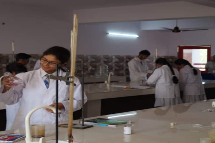 Divine Public School-Chemistry Lab