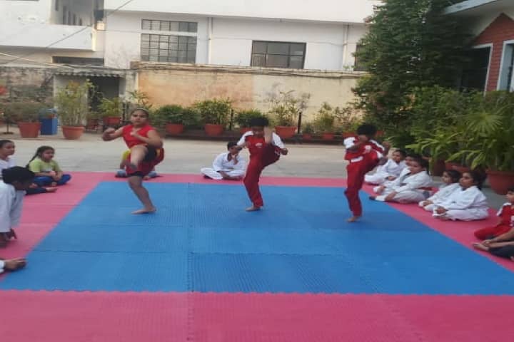 Divine Public School-Karate