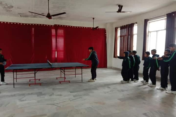 Delhi public school-Indoor Games