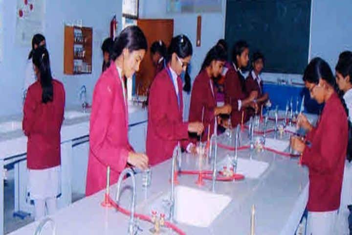 Dr Ram Chandra Vidya Peeth Public Senior Secondary School-Chemistry Lab