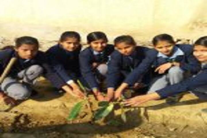 G B Public Senior Secondary School-Earth Day Activity