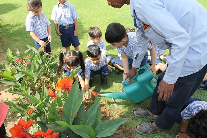 Grand Columbus International School-Plant a Tree