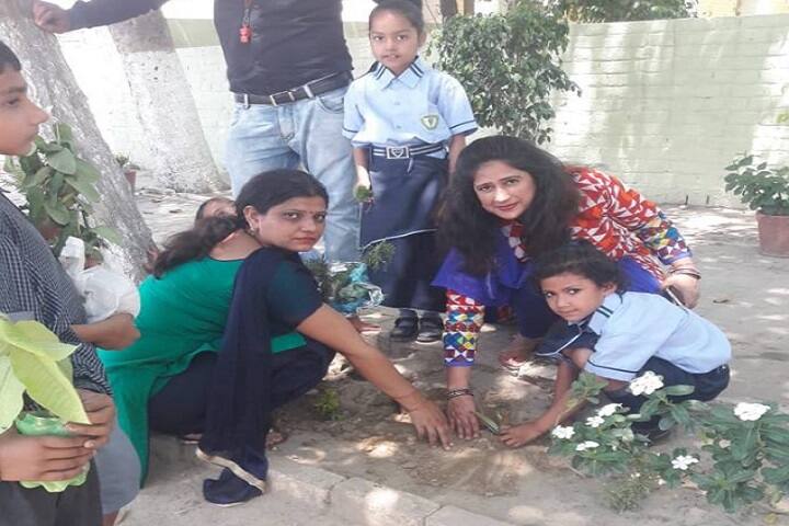 Greenland Public School-Plantation
