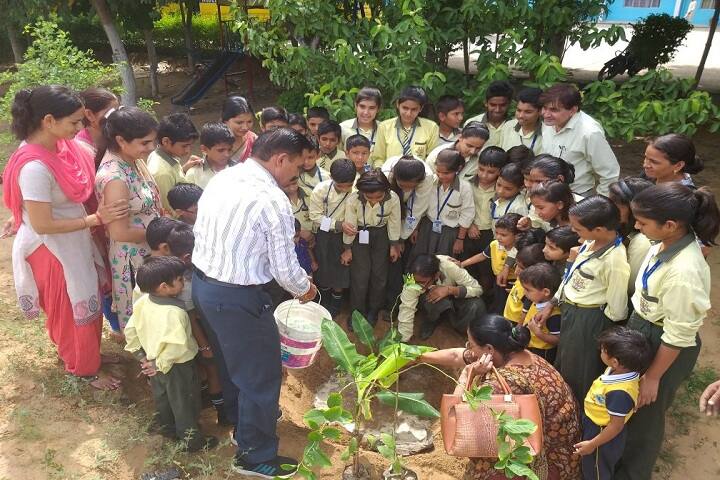 Grv Model School-Others plantation