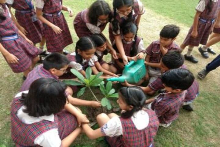 Hansraj Public School-Plantation