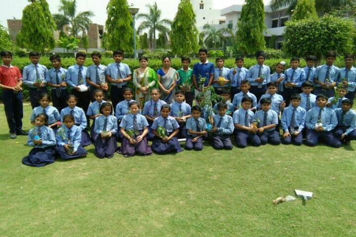 Haryana Senior Secondary School-Tree Plantation