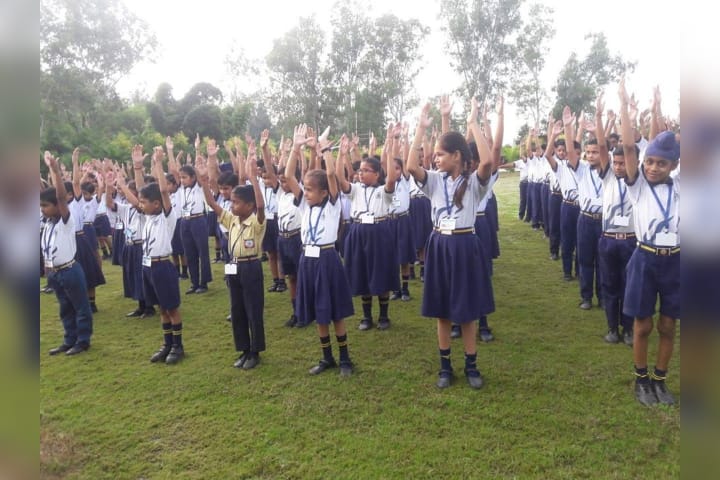 PT Activity in the Assembly