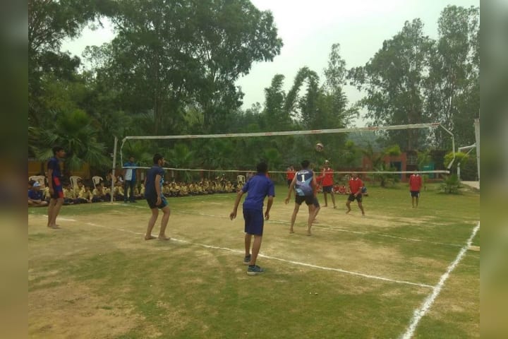 Sport Activity in the School