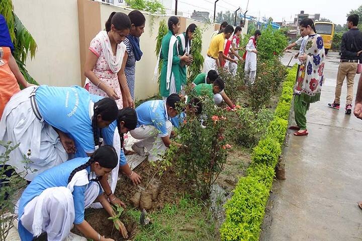 Holy Mother Public School-Plantation