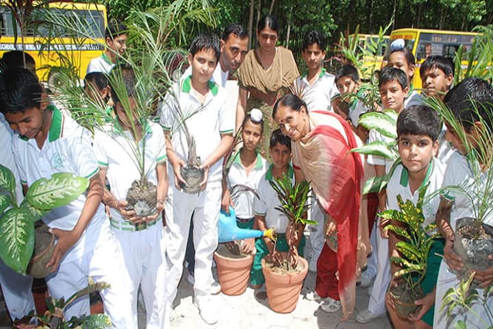 Indian Public School-Plantation