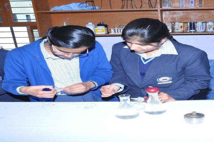 Indo American Senior Secondary School-Lab