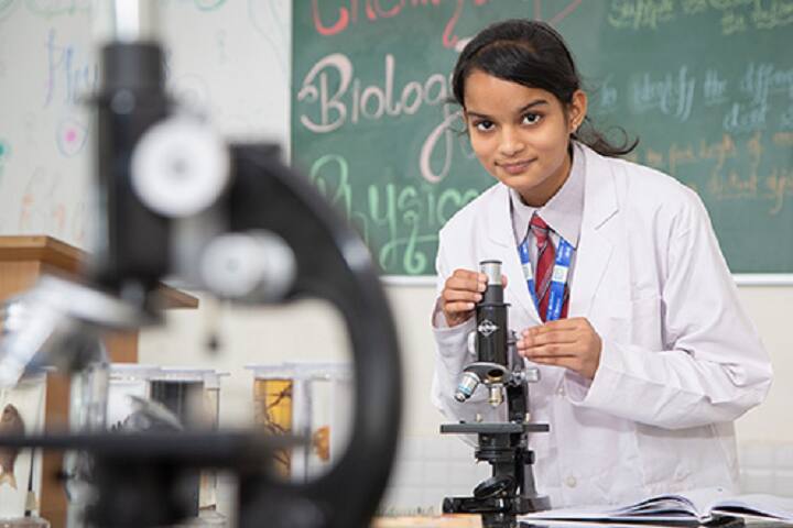 Indus Public School-Lab