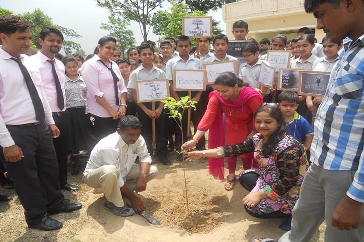 Indus Public School-Plantation