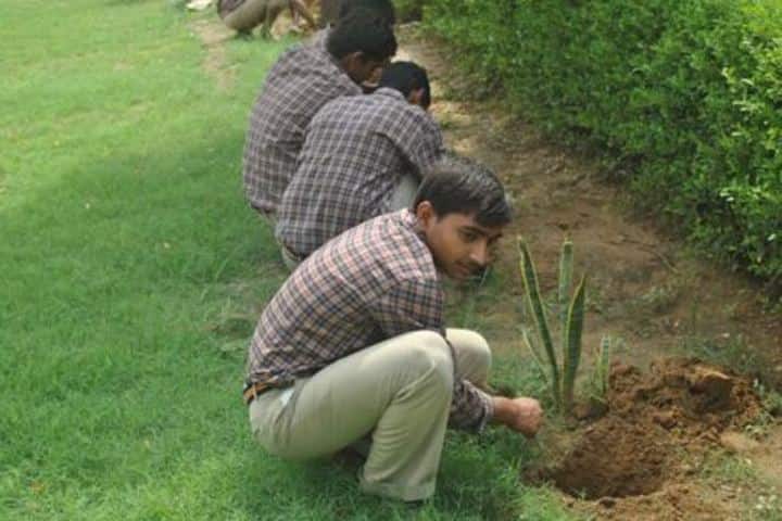 J J School Of Education-Tree Plantation