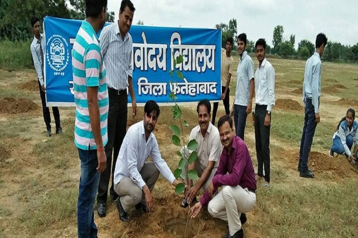 Jawahar Navodaya Vidyalaya-Plantation