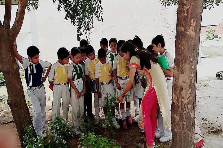 Jkp International School-Plantation