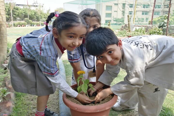 K R Mangalam World School-Tree plantation
