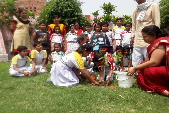 KN Senior Secondary School-Plantation